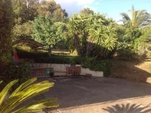 Les lauriers roses - Ramatuelle