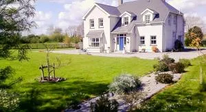 The Well Meadow B&B - Ballymackey
