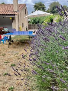 Maisons de vacances Lou Mazet : photos des chambres