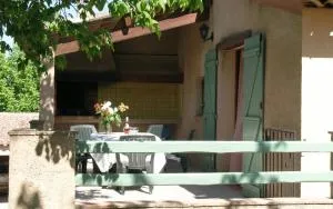 L' erable aux esperifes - Vidauban