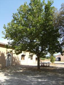 Maisons de vacances Le platane aux esperifes : photos des chambres