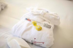 Sunny Suite Nordic - Lugano City -By EasyLife Swiss