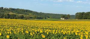 Maisons de vacances Le gite Bellevue a MONTJOI 82400 Tarn & Garonne : photos des chambres