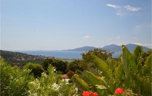 Maisons de vacances Nice home in Porticcio with 4 Bedrooms and WiFi : photos des chambres