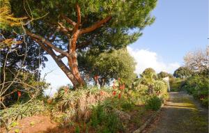 Maisons de vacances Nice home in Porticcio with 4 Bedrooms and WiFi : photos des chambres