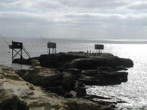 Appartements Studio Dunes aux Ecureuils : photos des chambres