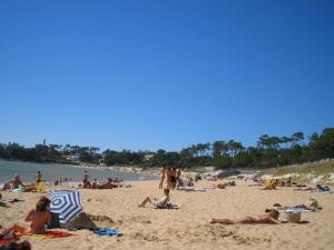 Appartements Studio Dunes aux Ecureuils : photos des chambres