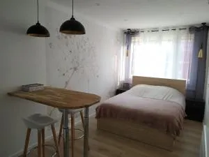 Studio Flore, à 5 min du centre - Mercatel