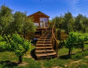 Dream Catcher. - Kalipádhon