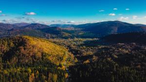 Apartament Zielony Ruczaj w Cisnej