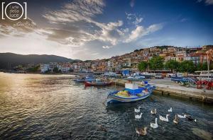 Pano sto Kyma Studios Lesvos Greece