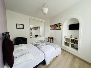 Appartement T2 de charme à Cambo, centre-ville, petite terrasse, Internet, animaux admis - FR-1-495-117