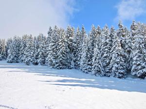 Appartements Studio Chamrousse, 1 piece, 4 personnes - FR-1-340-267 : photos des chambres