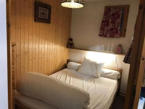Appartement cosy 27m² 4p avec piscine et parking à Arêches-Beaufort - FR-1-342-144