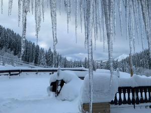 Lodges La Chanterelle - Mountain Lodge : photos des chambres