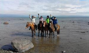 Tihuse Horsefarm B&B