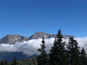 Appartements L Evidence, 4 a 5 couchages, 1 chambre, cellier, Meuble de Tourisme 3 etoiles, vue degagee, parking gratuit : photos des chambres