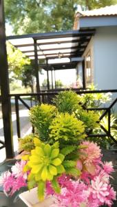 Agralam Cottages @Raghunandan Resort