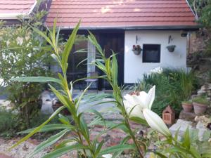 Kismadár Vendégház Noszvaj