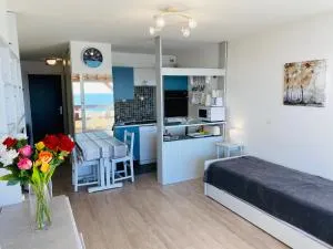 BRITANNIA - Studio tout équipé, Vue mer - U95 - 卡纳克海滩