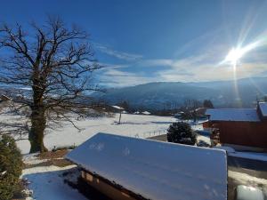 Appartement T2 lumineux avec terrasse et Wifi - FR-1-624-88