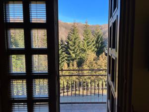 Studio with Balcony room in Apartments and Rooms Vicko