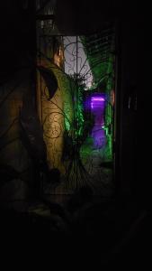 Clorofila House Glamping Naturista