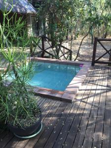 Amani Milele (Everlasting Peace)