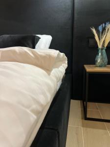 Апартаменти центр Чортків