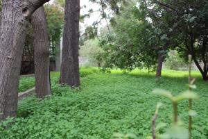 Villa Luigina e Orazio,Cardedu, 7 posti letto
