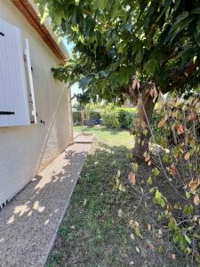 Maisons de vacances Les orangers - Villa catalane avec Jacuzzi : photos des chambres