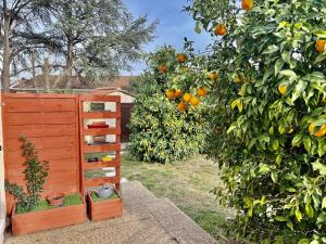 Maisons de vacances Les orangers - Villa catalane avec Jacuzzi : photos des chambres