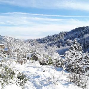 Chalets Cabane entre Cevennes, Tanargue et Monts d'Ardeche : photos des chambres