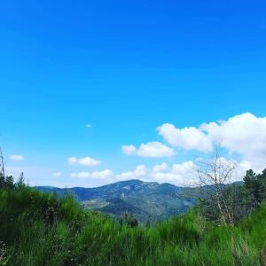 Chalets Cabane entre Cevennes, Tanargue et Monts d'Ardeche : photos des chambres