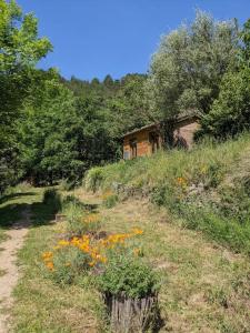 Chalets Cabane entre Cevennes, Tanargue et Monts d'Ardeche : photos des chambres