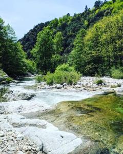 Chalets Cabane entre Cevennes, Tanargue et Monts d'Ardeche : photos des chambres