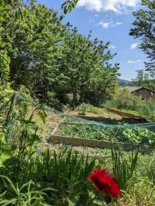 Chalets Cabane entre Cevennes, Tanargue et Monts d'Ardeche : photos des chambres