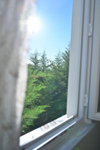 forest villa, 6 minutes from the airport