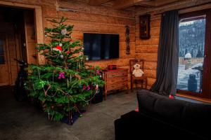 Chata Odskocznia - balia, sauna