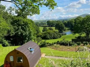 Garden Cottage Glamping Pod - Bridell