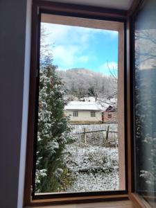 Apartamentul Florilor de Fân