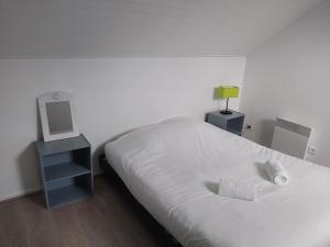 Appartement duplex avec garage Annecy centre et Lac