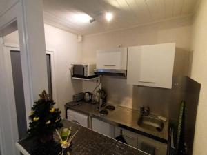 Appartement duplex avec garage Annecy centre et Lac