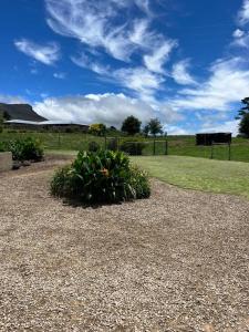Hogsback Misty Oaks Cottage