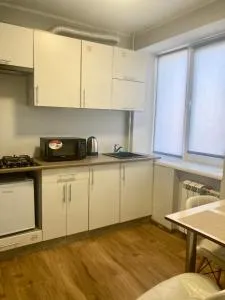 Apartment Avenue View - Hrushivtsi