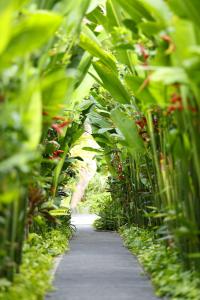 The Kasih Villas & Spa