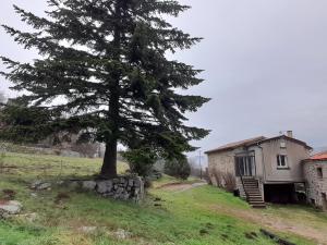 Maisons de vacances La Grangette du Mas : photos des chambres