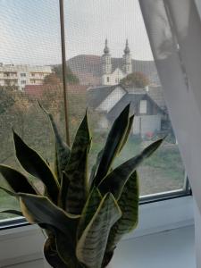 Homestay Khomenko