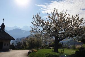 Appartements Sweety home- Vue Mt-Blanc - A 15 min de pistes de ski : photos des chambres