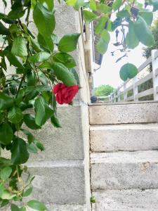 Maisons de vacances Le Gite de Pomme : photos des chambres